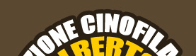 aclupoalberto
